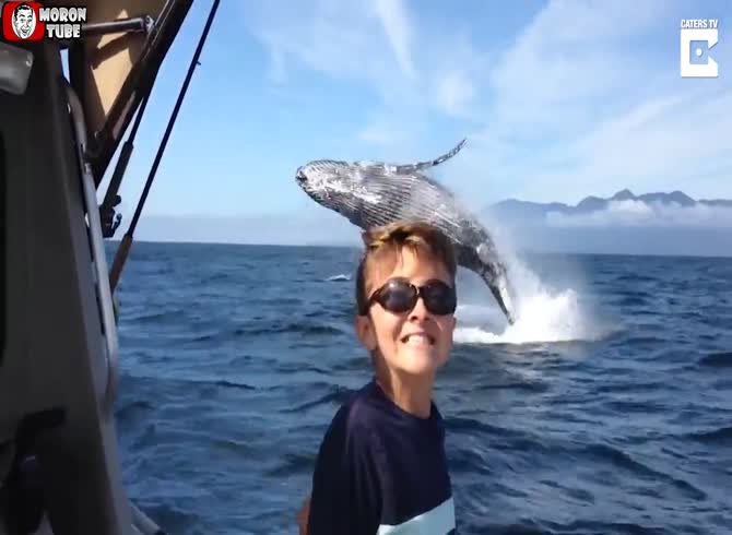 Video :Canada - a whale offers a man and his son a spectacular leap as a way of greeting them